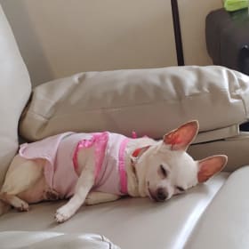 Rosie Rocks