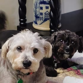 Casey and Momo