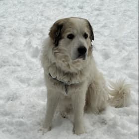 Kaiser