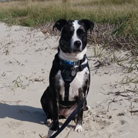 Delilah