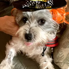 Zoey
