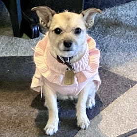 Betty Booper