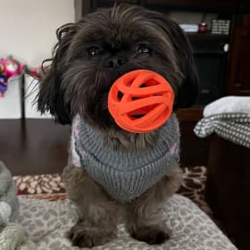Marlo