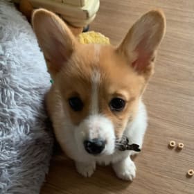 winnie