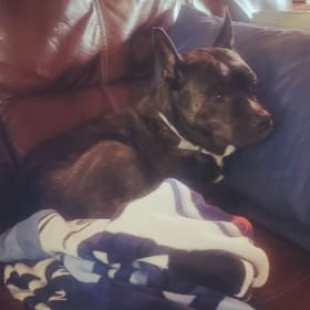 Reuben