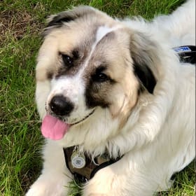Gunnar