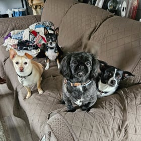 Sally Salem Tanner and Bella