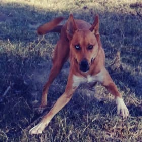 Walter