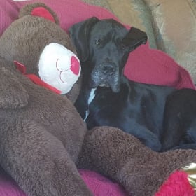 Bruno