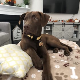 Luna