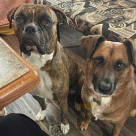 Mo and Bella