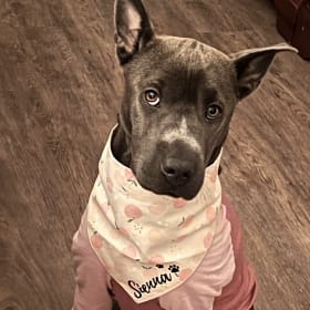 Sienna