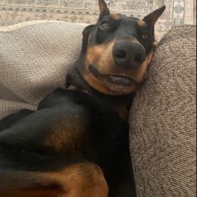 Vader