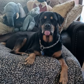 Heidi