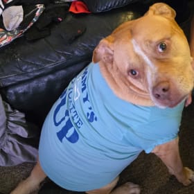 Duke
