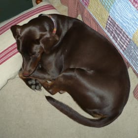 Abby