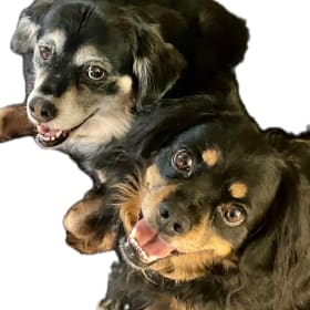 SERINA and DEEOGEE