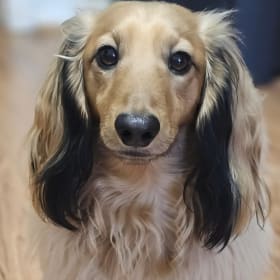 Benny