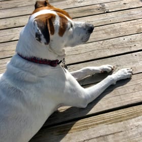 Rosie