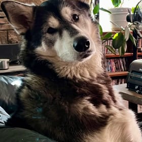 Kozmo