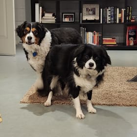 Maggie and Molly