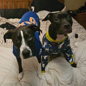Brady and Luna