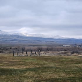 Jinger Jolene Elizabeth Star