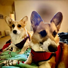 Piper and Bernie