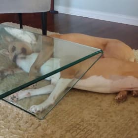 Squirt and Sofie