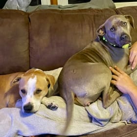 Ruben and Sage