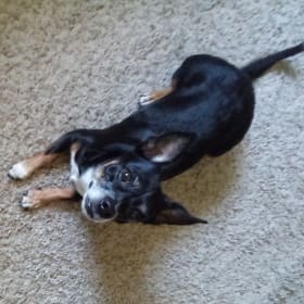 Chloe