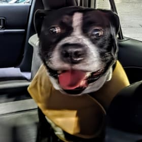 Lito aka Wedo