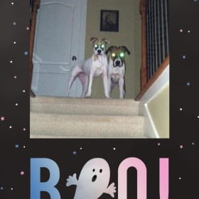 Emmy and Tia