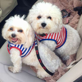 Alfie and Belle