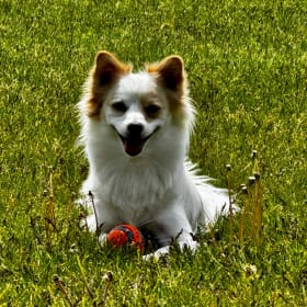 Jack