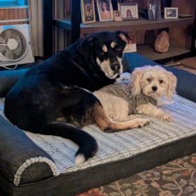 Max and Alfie