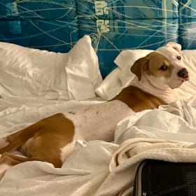 Kona