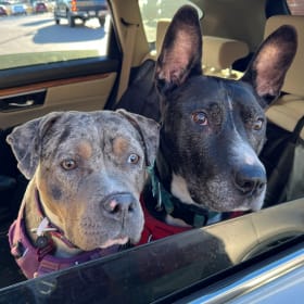 Ruffina and Budward