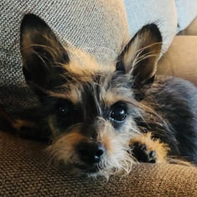 Miss Maggie Mae