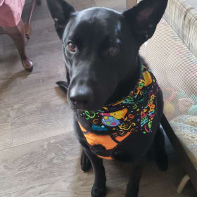 Loki