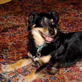 Buki