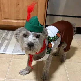 Tucker