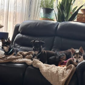 My pack