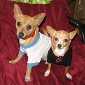 Shiloh and Shelby