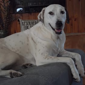 Daisy Mae