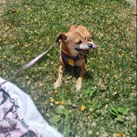 Coco