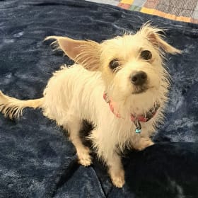 Maggie Mae