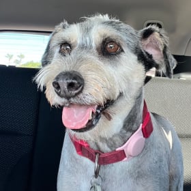 Millie
