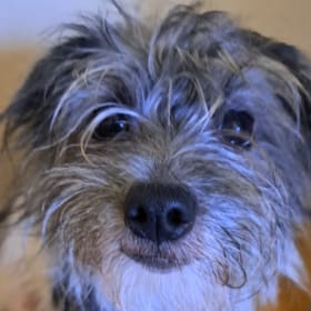 Maggie Mae