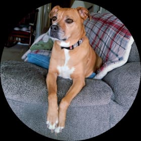 Maggie